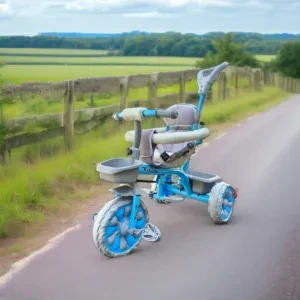 Victory Tricycle with Parental Control, and Protective Arm Rest | Best Gift for Kids 12+ months